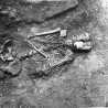 Skelett panustega käärkambri S-seina ääres.. Autor: V.Raam. Aasta: 1984
