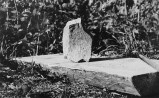 Arheoloogilistel kaevamistel leitud kooriruumi akna raidkivist fragment. Raamistiku külgvaade. . Autor: T. Böckler. Aasta: 1957. #N-1741/1