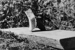 Arheoloogilistel kaevamistel leitud kooriruumi akna raidkivist fragment. Raamistiku väline külg. Fotol on näha osaliselt säilunud klaasivaltsi. . Autor: T. Böckler. Aasta: 1957. #N-1740/4