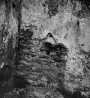 Lavatooriumi väljavooluava käärkambri idaseina välisküljel. Autor: Villem Raam. Aasta: juuli-august 1959