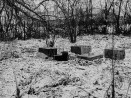 Segipekstud hauatähised ja hauakünkad Baeride idapoolsema matuseplatsi keskel.. Autor: Villem Raam. Aasta: 1974