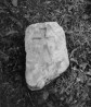 Viru Jaagupi. Sanktuaariumi avamisel leitud kivi. Autor: V. Raam. Aasta: 1958. #N-4719/1