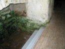 Istenišš kooriruumi lõunaseinas. Niši põrand tähistab algse paepõranda kõrgust, mis 1937.a. kaeti 1m võrra vanast tasandist kõrgema laudpõrandaga.. Foto: EKA Restaureerimisteaduskond (08/2005)