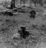 Vaade kalmistult. Autor: V. Raam. Aasta: 1977