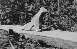 Arheoloogilistel kaevamistel leitud kooriruumi akna raidkivist fragment. Raamistiku ruumipoolne külg. N-1740/3. Autor: T. Böckler. Aasta: 1957