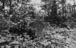 Kivirist surnuaia lõunapoolses osas. Autor: Teddy Böckler. Aasta: 1958
