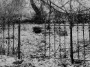 Vaade Baeride idapoolse matuseplatsi lõhutud väravale, mille taga näha puruks pekstud hauatähised.. Autor: Villem Raam. Aasta: 1974