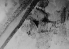 Vaade põhjaseina krohvi alt avastatud tala fragmendile. N-1687/2. Autor: T. Böckler. Aasta: 1957
