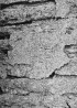 Säilmed krohvist seina välispinnal.. Autor: R.Valdre. Aasta: oktoober 1965