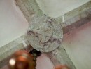 14. sajandi I poolel ehitatud võlviroided on seotud ümmarguste, reljeefse dekooriga päiskividega. Kooris asuval päiskivil on esmakordselt kasutatud vapimotiivi.. Foto: EKA muinsuskaitse ja restaureerimise osakond, 07/2011